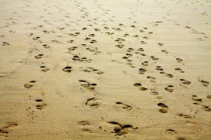 barfuss im sand